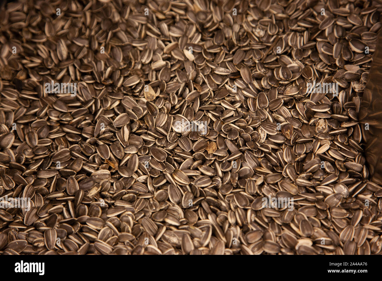 Black sunflower seeds hi-res stock photography and images - Alamy