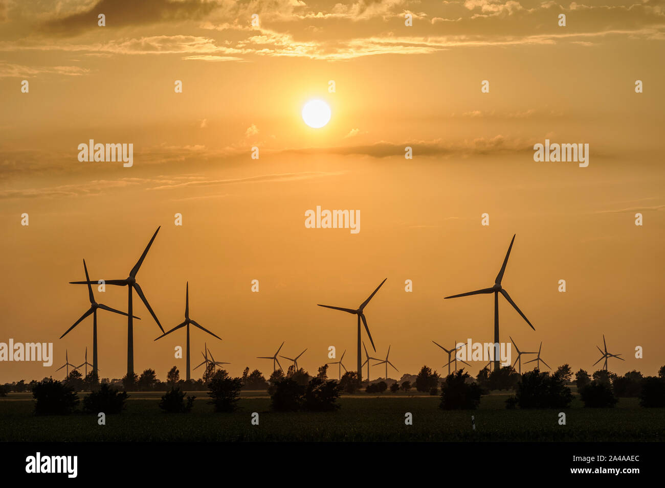 Windräder im Sonnenuntergang. [Nutzung nur gegen Honorar, Urhebervermerk und Belegexemplar, Roberto Schirdewahn, Offerkämpe 5, 48163 Münster, www.peop Stock Photo