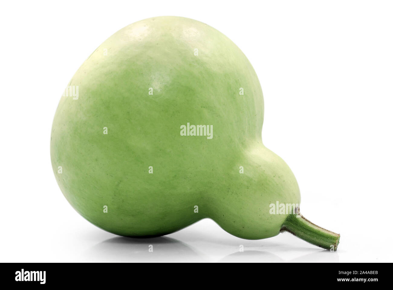 Calabash or Bottle Gourd isolated on white background Stock Photo Alamy