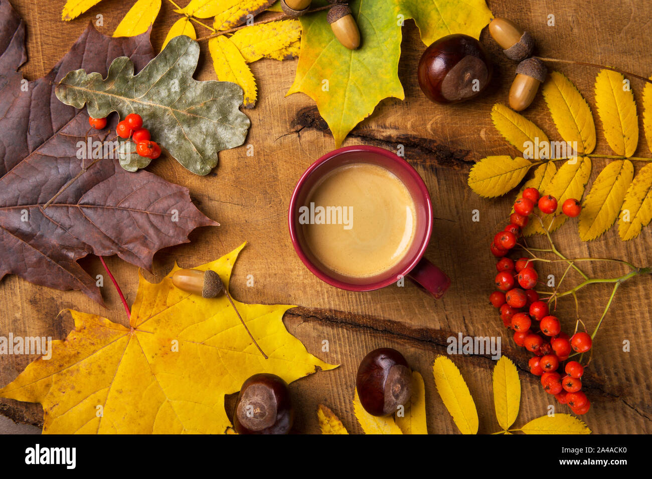 Autumn, fall leaves, hot steaming cup of coffee on wooden table background.  Sunday morning coffee relaxing and still life concept Stock Photo - Alamy, image size:1300x956
