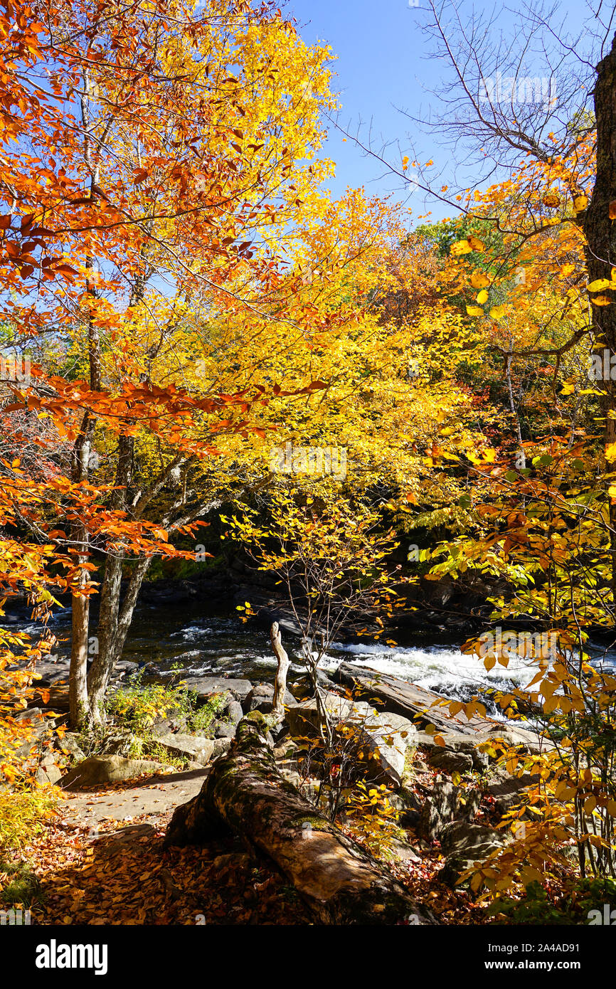 Oxtongue Rapids near in the autumn at Algonquin Provincial Park in Ontario near Huntsville, Canada Stock Photo