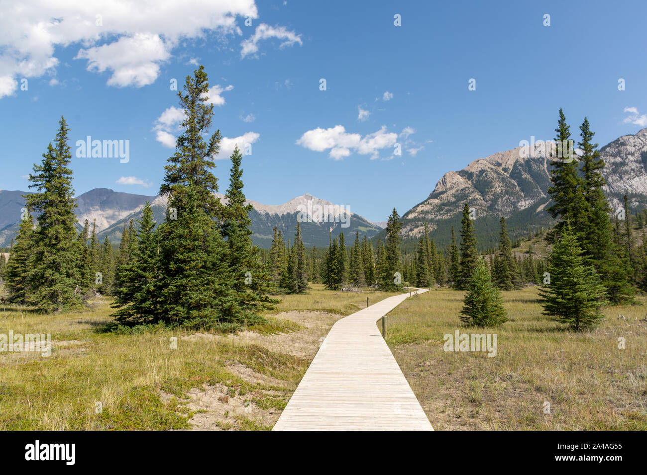 Kootenay plains ecological reserve hi-res stock photography and images ...