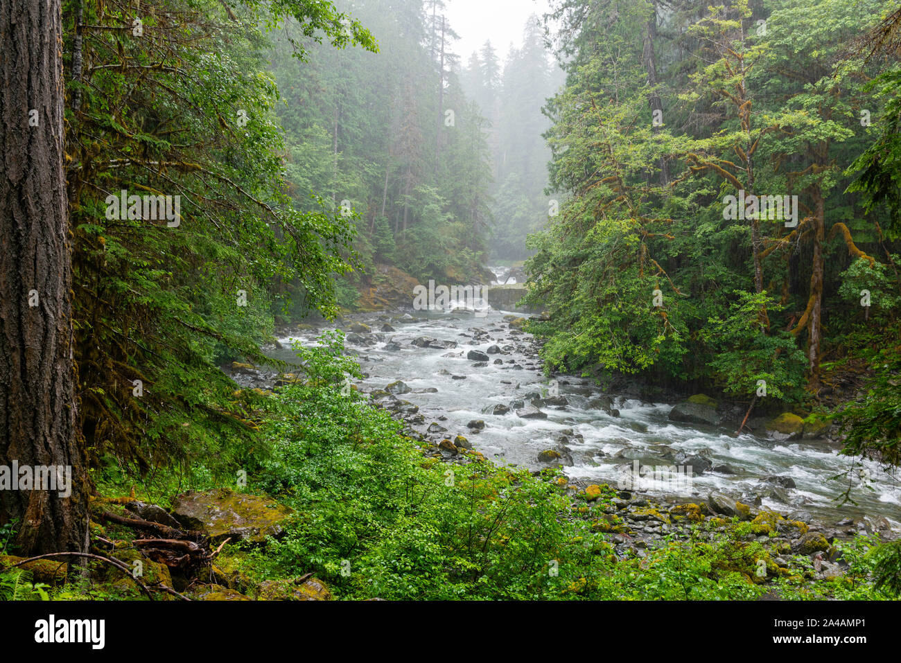 Skokomish River High Resolution Stock Photography and Images Alamy