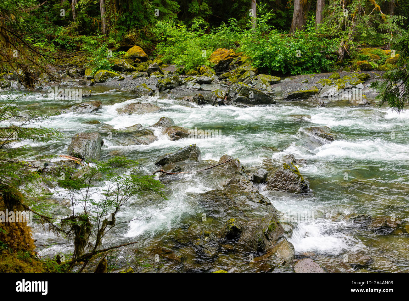 Skokomish River High Resolution Stock Photography and Images Alamy