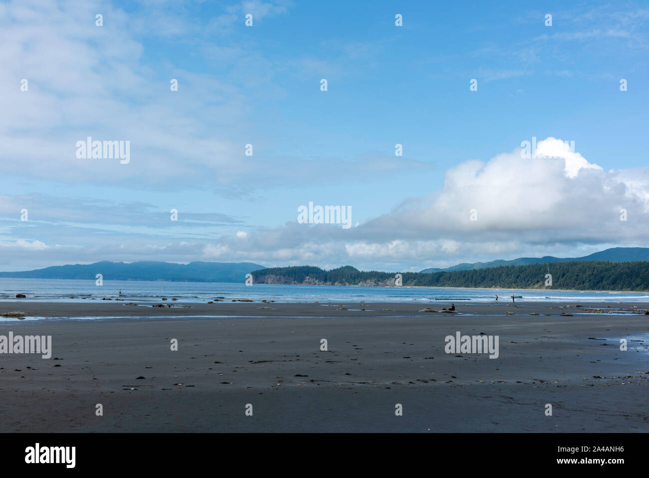 Shi Shi Beach, Olympic National Park, Washington, USA Stock Photo - Alamy