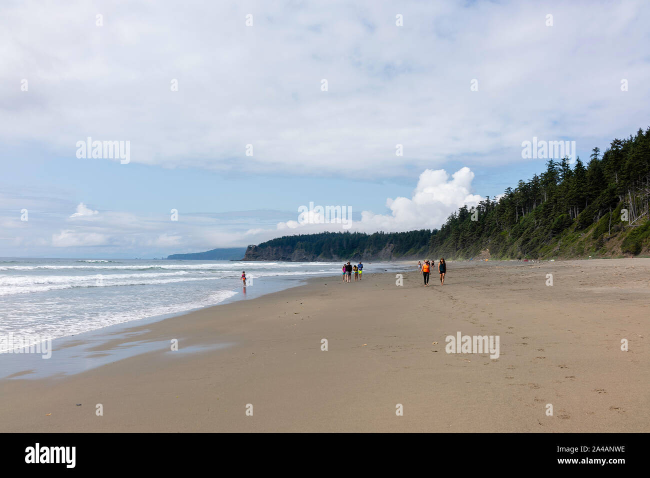 Shi Shi Beach, Olympic National Park, Washington, USA Stock Photo - Alamy