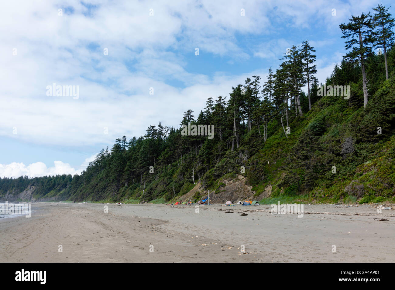 Shi Shi Beach, Olympic National Park, Washington, USA Stock Photo - Alamy