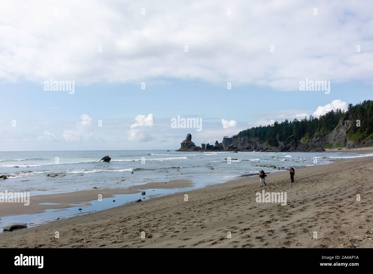 Olympic National Park Shi Shi Beach Experience