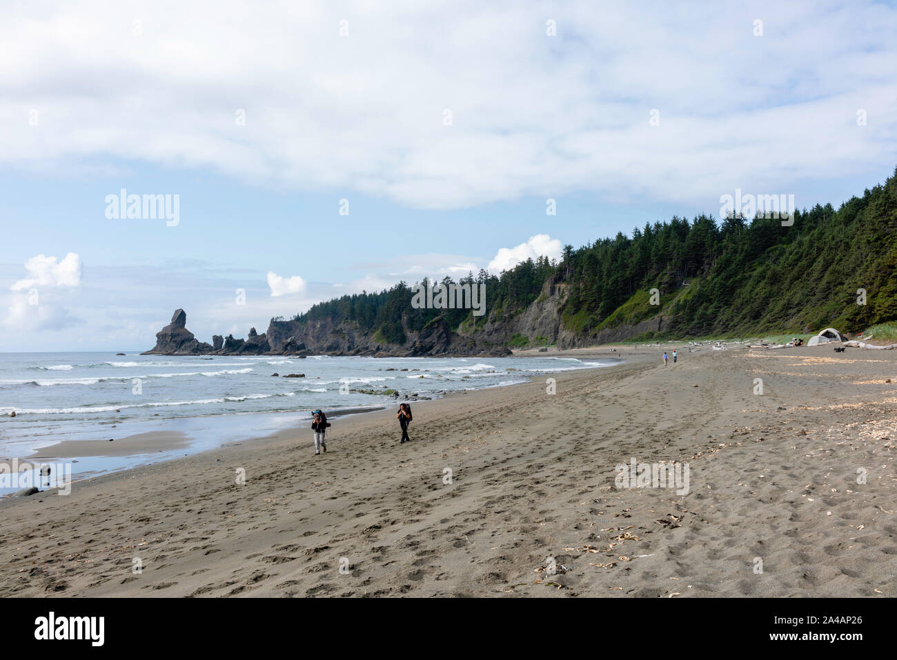 Shi Shi Beach, Olympic National Park, Washington, USA Stock Photo - Alamy