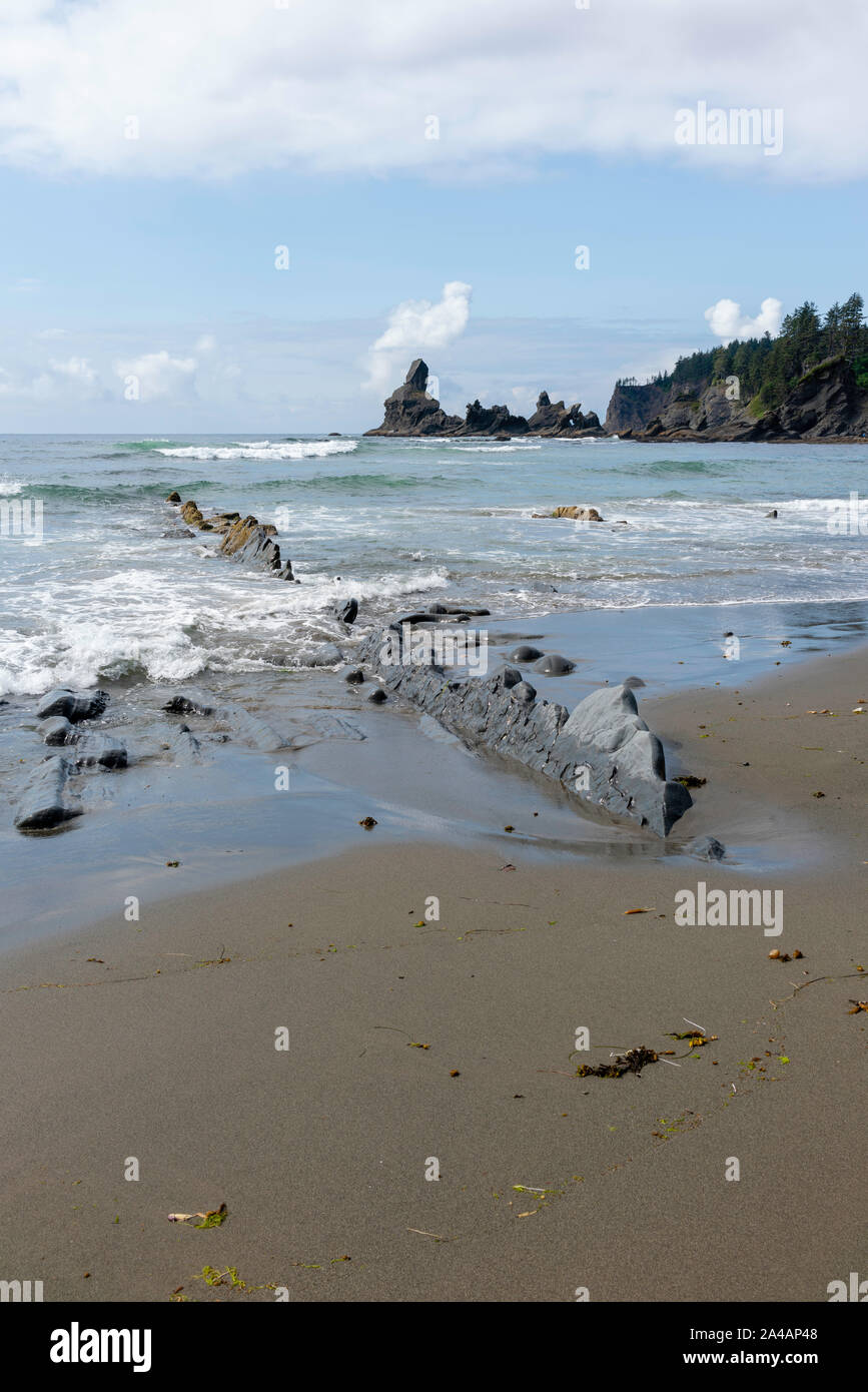 Shi Shi Beach, Olympic National Park, Washington, USA Stock Photo - Alamy