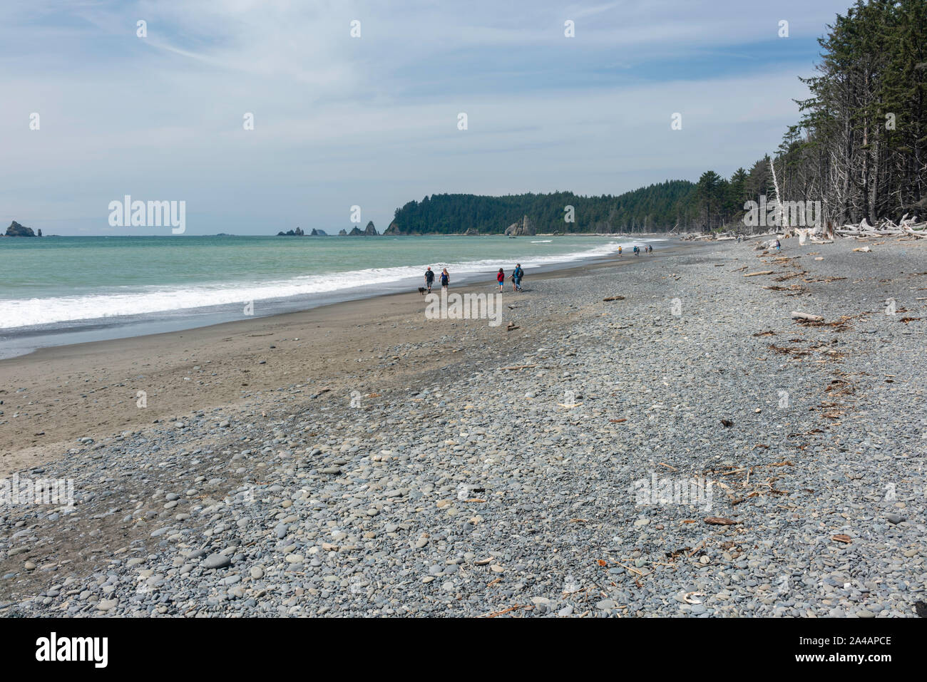 People enjoy Rialto Beach, Olympic National Park, Washington, USA Stock ...