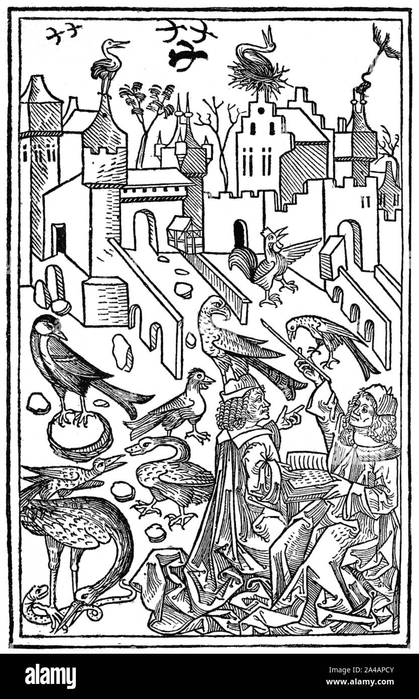 Zoology lessons, Unterricht in der Tierkunde, Joh. de Cuba, Hortus sanitatis, 1491 Stock Photo