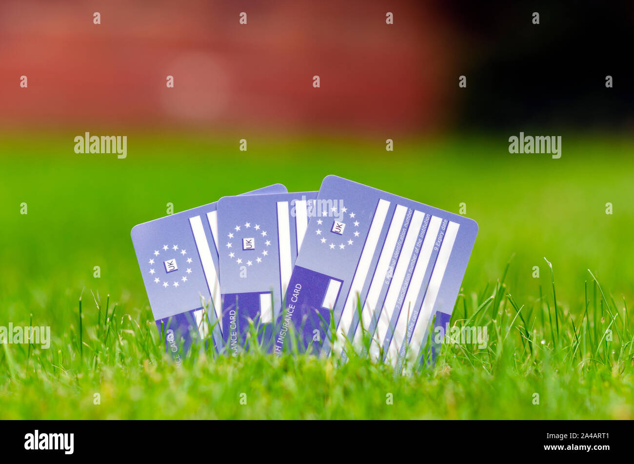 Three European Health Insurance Cards on the grass. The EHIC card covers you against illness or injury in Europe. Stock Photo