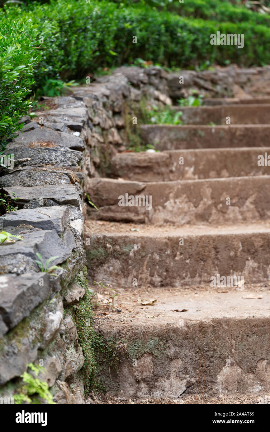 Part of a small stone stairs at a green garden in summer. Madeira, Portugal Stock Photo