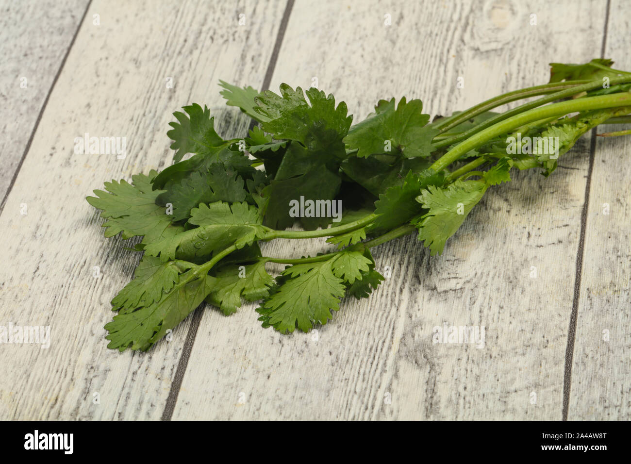 Fresh ripe Green cilantro leaves spice Stock Photo Alamy