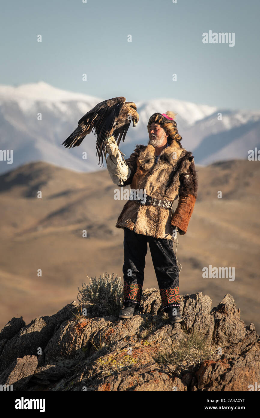 Old Traditional Kazakh Eagle Hunter Posing With His Golden Eagle In The Mountains Ulgii Western Mongolia Stock Photo Alamy