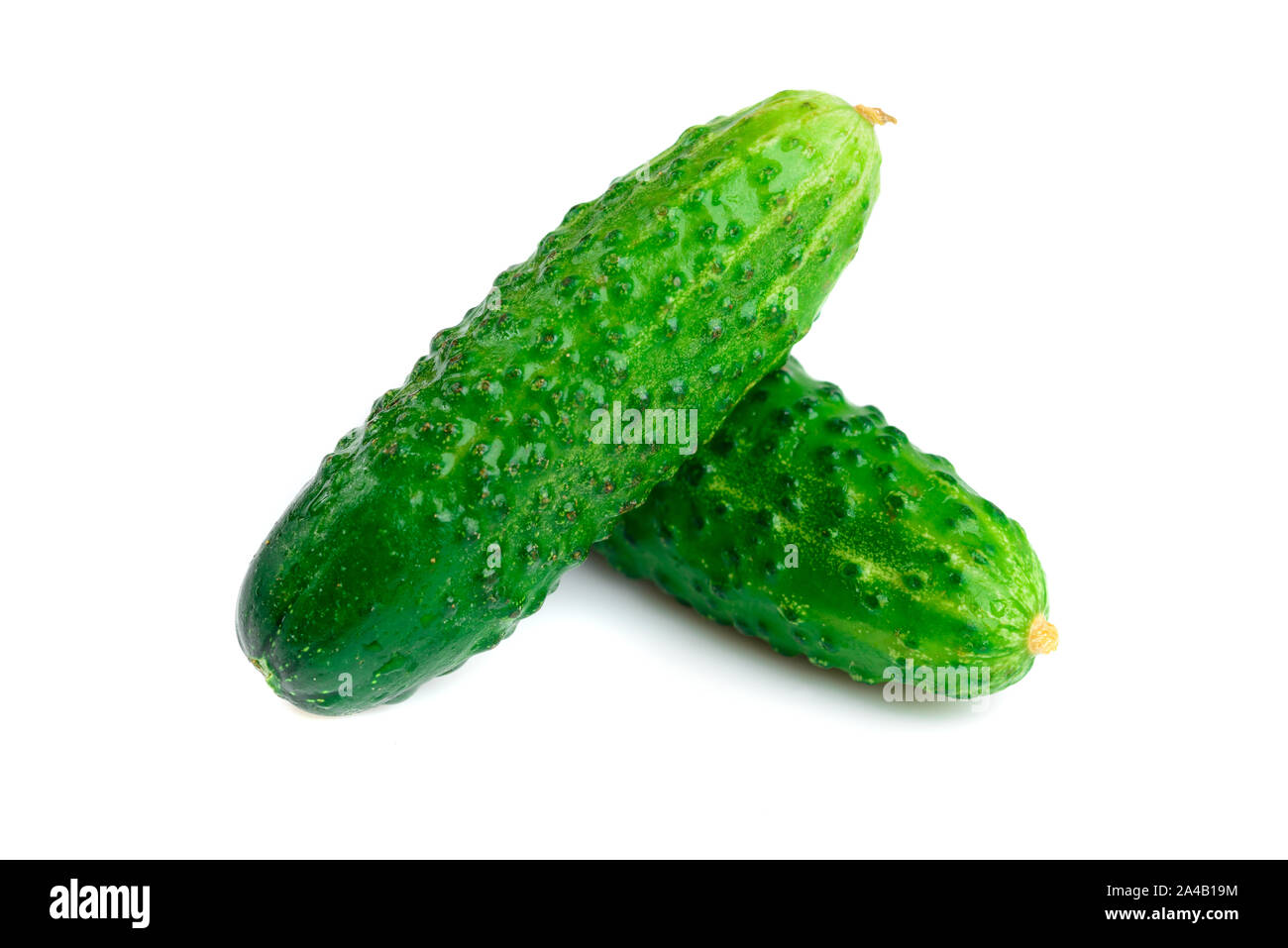 Two small cucumbers isolated on white background Stock Photo