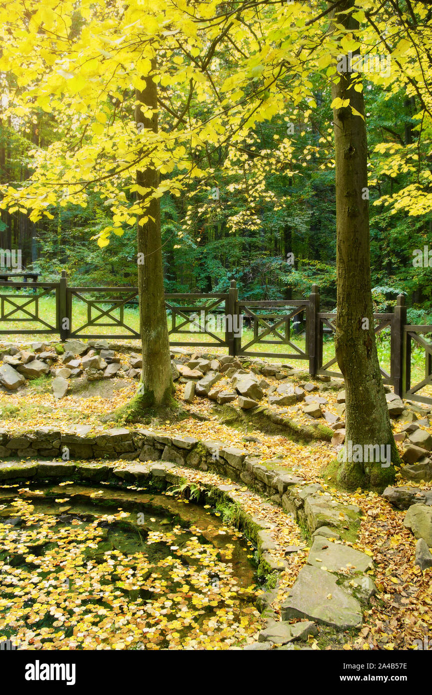 Romantic pond in the park, autumn leaves on water surface. Swietokrzyskie Mountains, Poland. Stock Photo