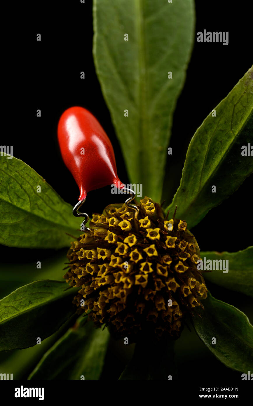 Electronic insect feeds on a flower Stock Photo