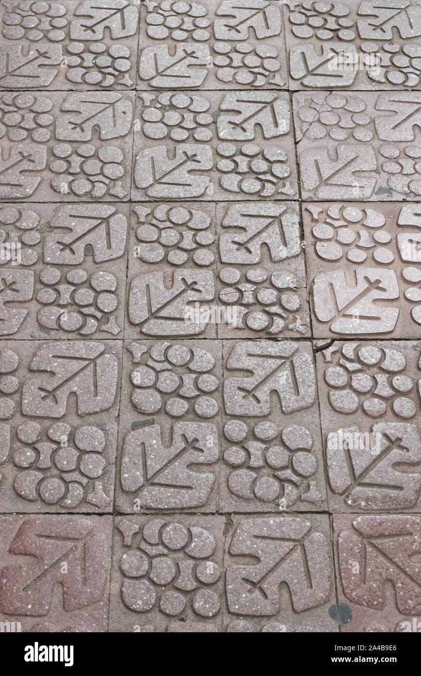 grape and vine wine motif paving in Logrono, Northern Spain, Europe Stock Photo