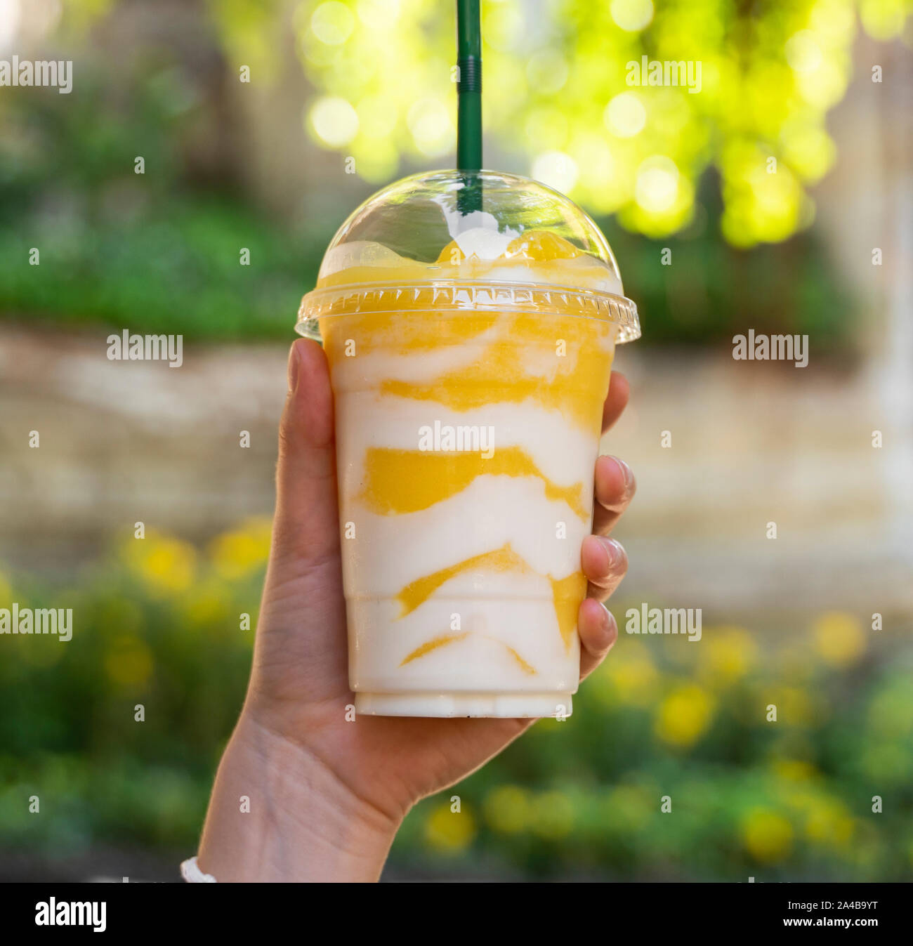 https://c8.alamy.com/comp/2A4B9YT/milkshake-in-a-plastic-glass-with-a-straw-with-a-green-background-2A4B9YT.jpg