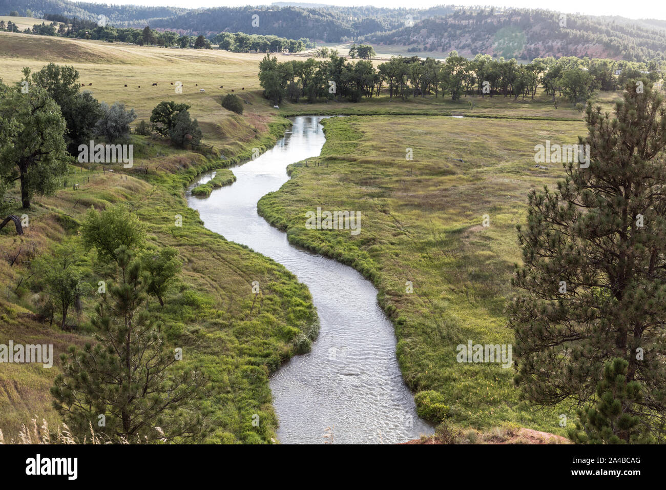 The Belle Fourche River above Hulett in Crook County, Wyoming Stock Photo Alamy