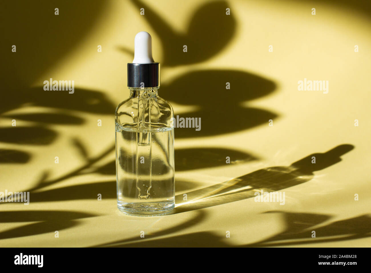 Download Cosmetic Bottle With Pipette Transparent Liquid Product In Glass Bottle With Dropper Serum Skin Care On Light Yellow Background And Plant Shadows Front View With Copy Space Beauty Product Mockup Stock Photo