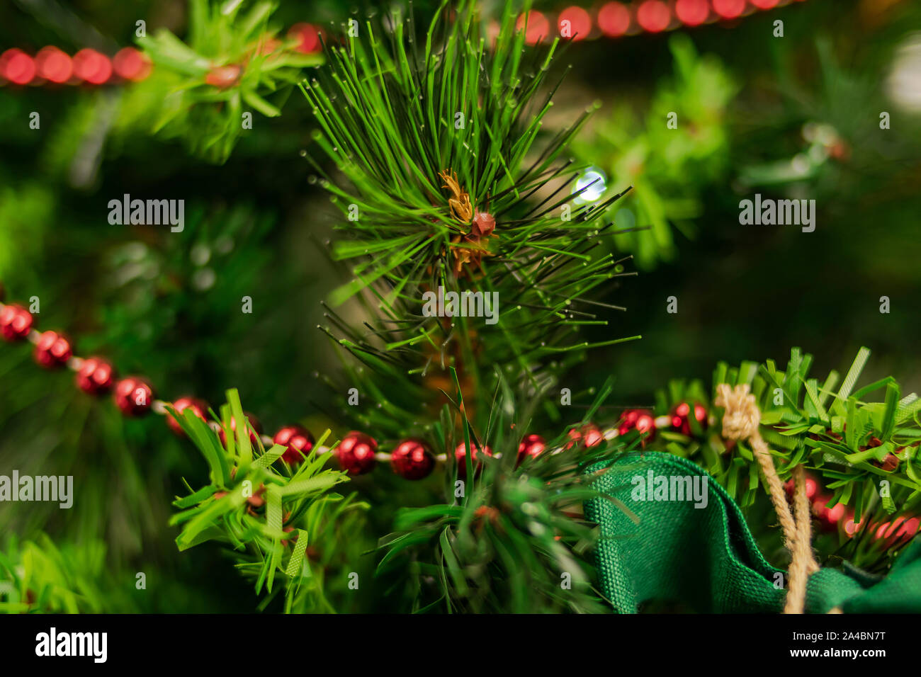 Over Hanging Tree Branches High Resolution Stock Photography and Images ...