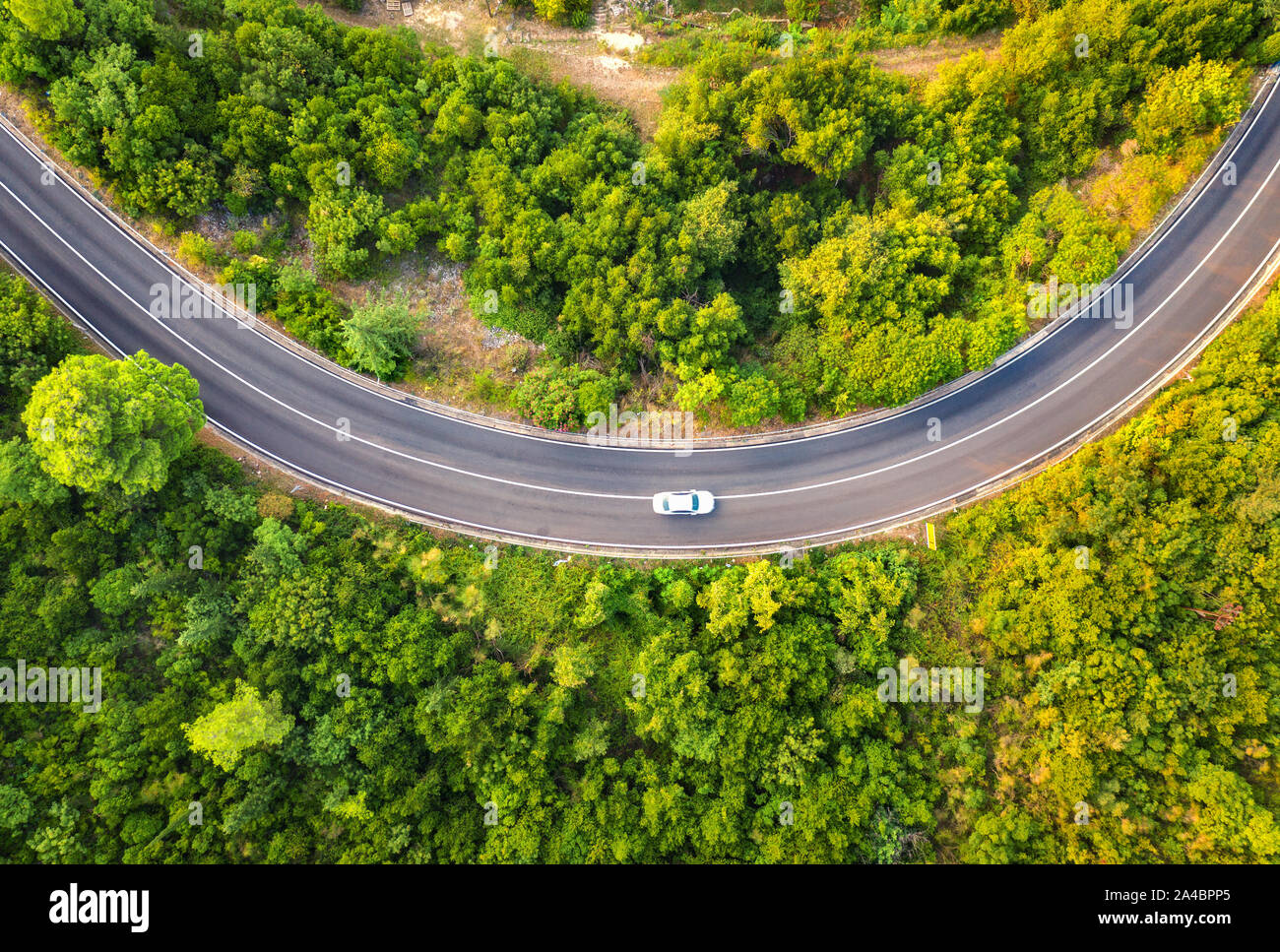 Aerial view of road with car in beautiful forest in summer Stock Photo
