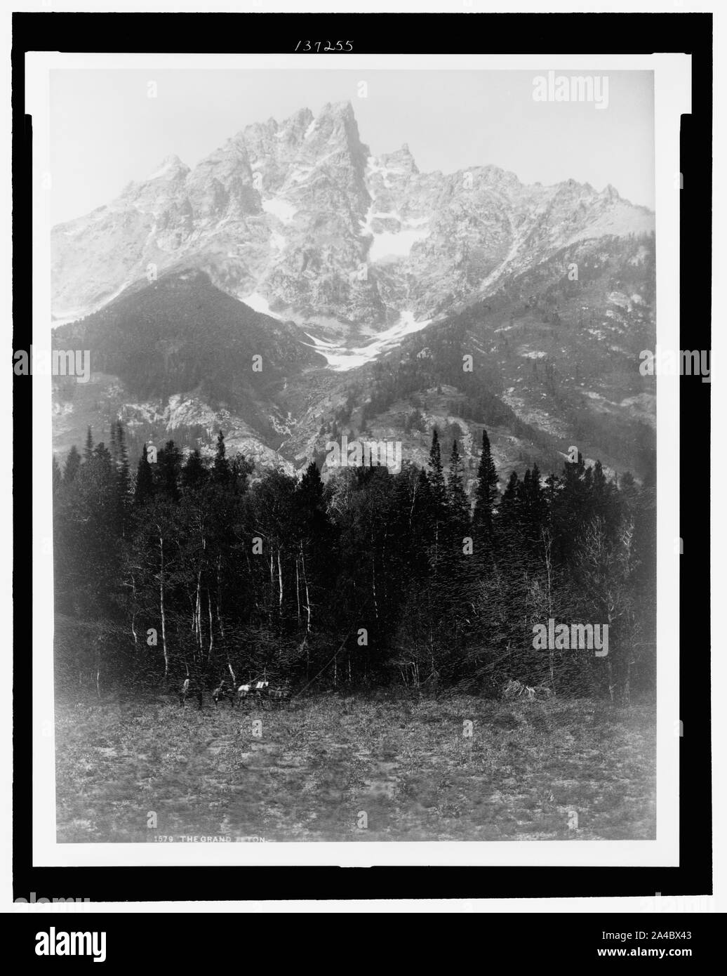 The Grand Teton Stock Photo Alamy