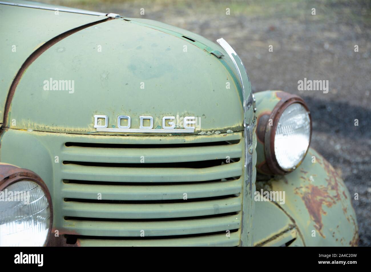 Old trucks and pickups which are stored in southern Washington State in
