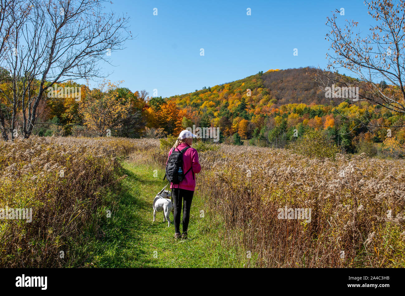 woman on a trail with dog enjoying the fall colors in the North country NY Stock Photo
