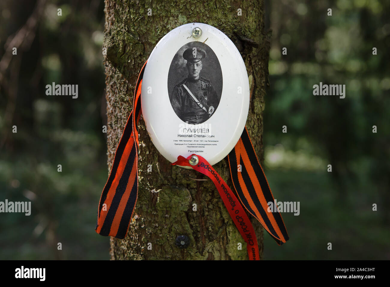 Photograph of Russian poet Nikolay Gumilyov (Nikolai Gumilev) installed ...
