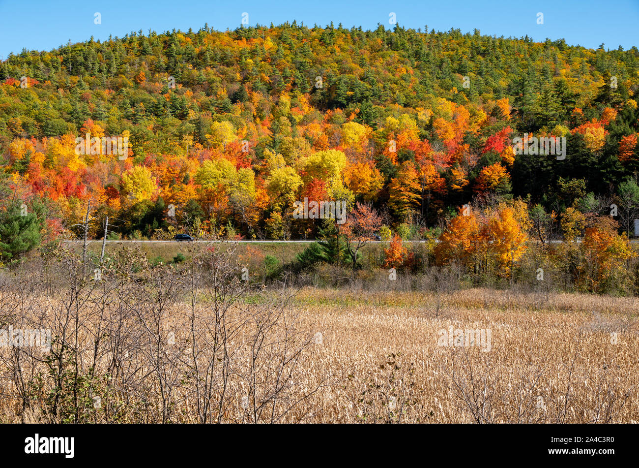mountains in the Adirondacks with  fall colors on a sunny day Stock Photo