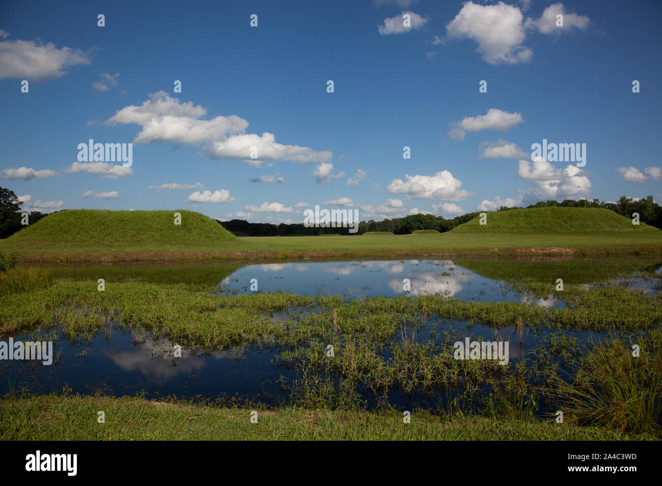 Black warrior river hires stock photography and images Alamy