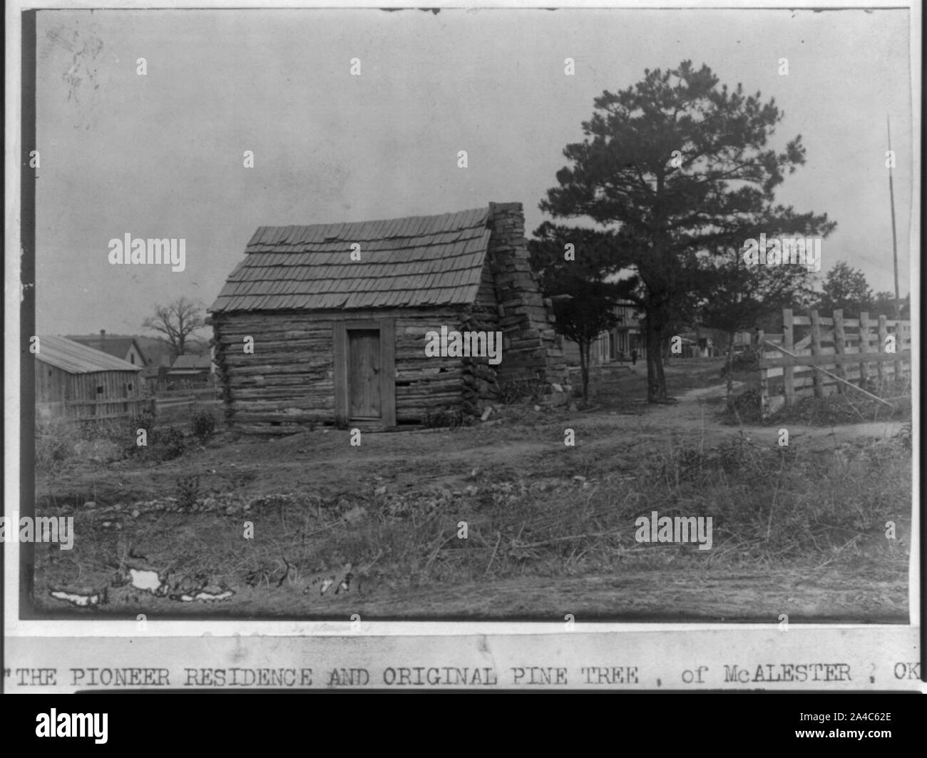 The Pioneer Residence And Original Pine Tree Of Mcalester Okla