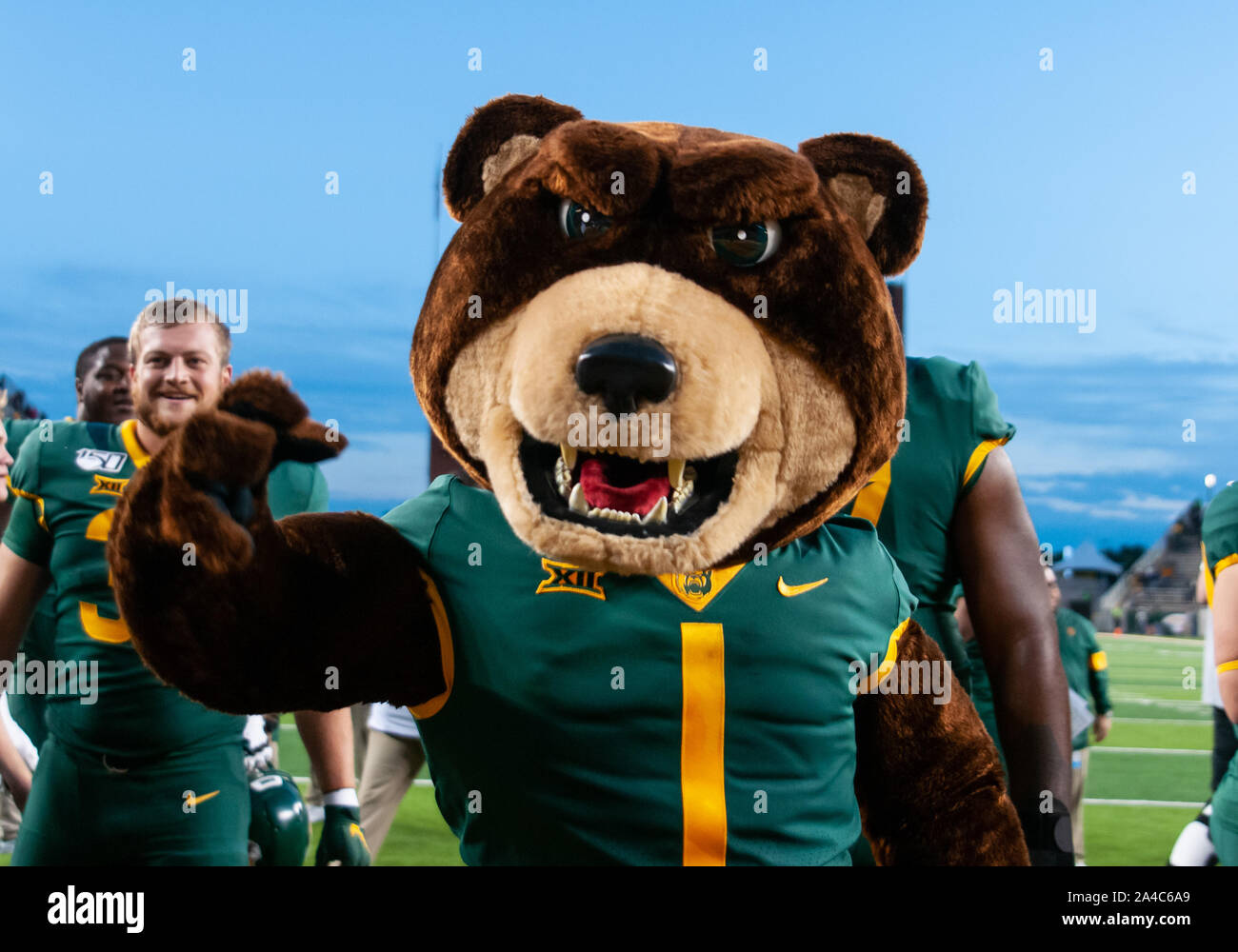Waco, Texas, USA. 12th Oct, 2019. Baylor Bears mascot (Bruiser) celebrating the double overtime victory over Texas Tech Red Raiders 33-30 at the NCAA Football game between Texas Tech Red Raiders and the Baylor Bears at McLane Stadium in Waco, Texas. Matthew Lynch/CSM/Alamy Live News Stock Photo