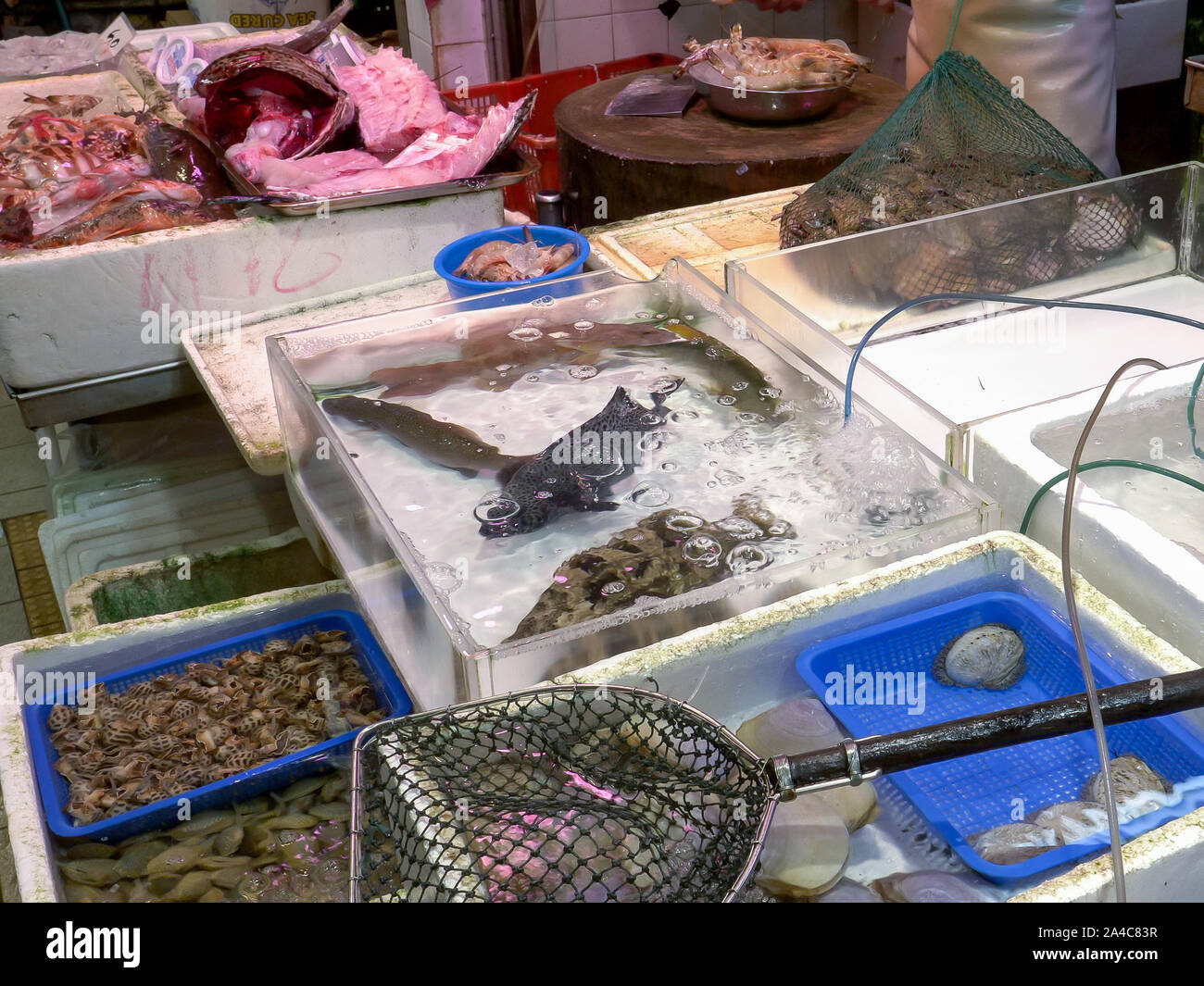 live seafood for sale at fa yuen market in hong kong Stock Photo