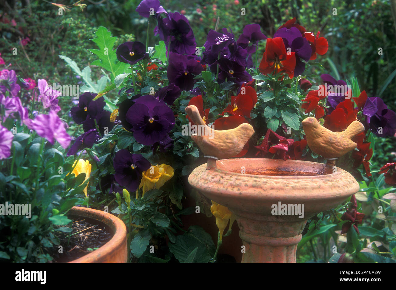 Birdbaths hires stock photography and images Alamy