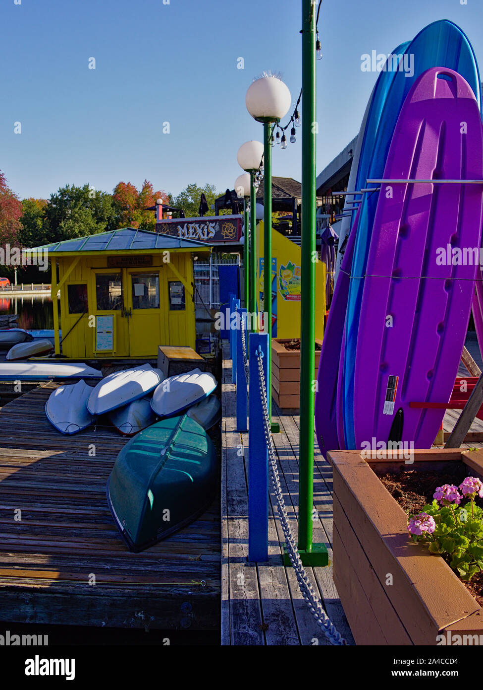 Paddle boards (purple and blue) and canoes at the boat rental boot, Dow's Lake Pavilion, Ottawa