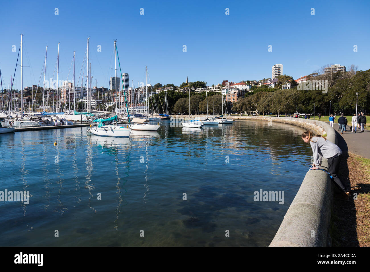 Views of Sydney Harbour from Rushcutters Bay Park, Sydney. A girl looks at the clear water. Stock Photo