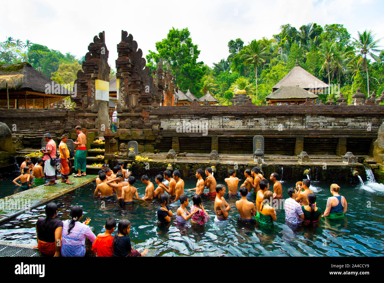 Ritual Purification Bath at Tirta Empul Temple - Bali - Indonesia Stock ...