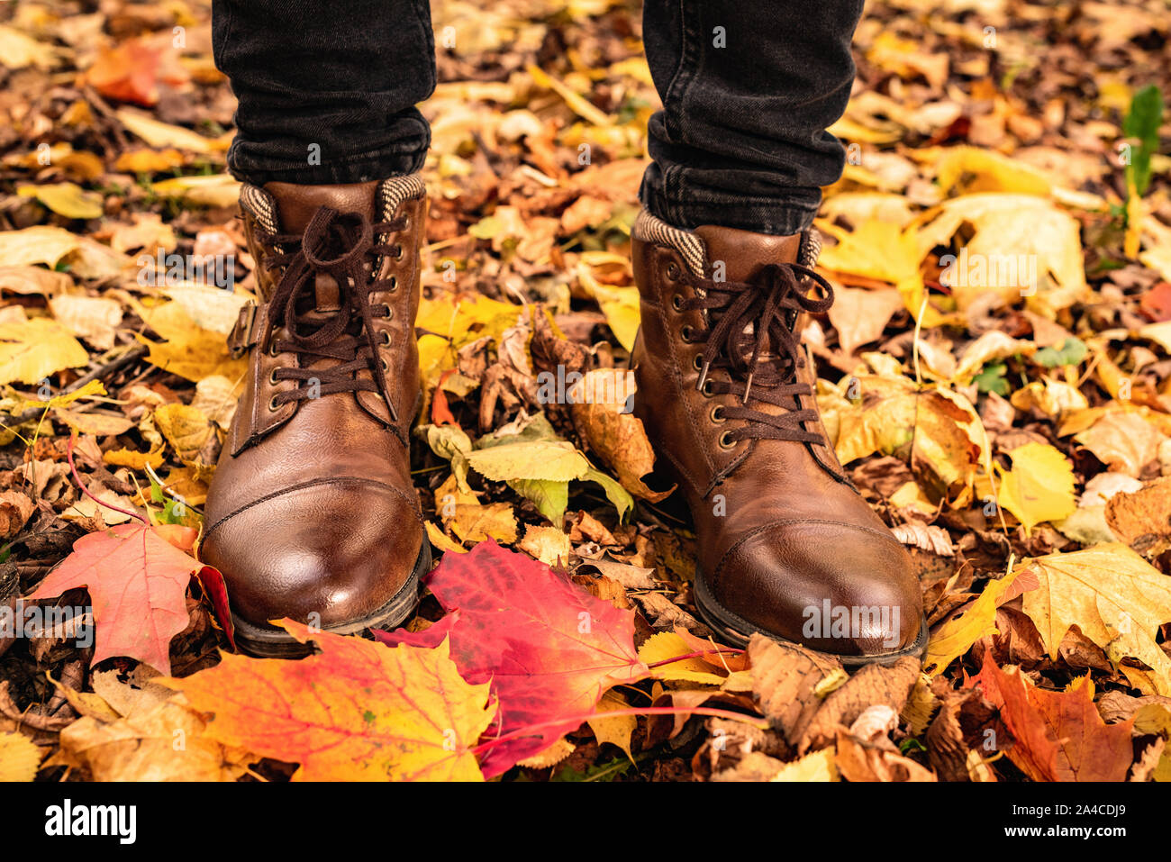 Male legs in brown leather boots standing on foliage in autumnal park. Fall season. Colorful maple leaves, lifestyle concept Stock Photo