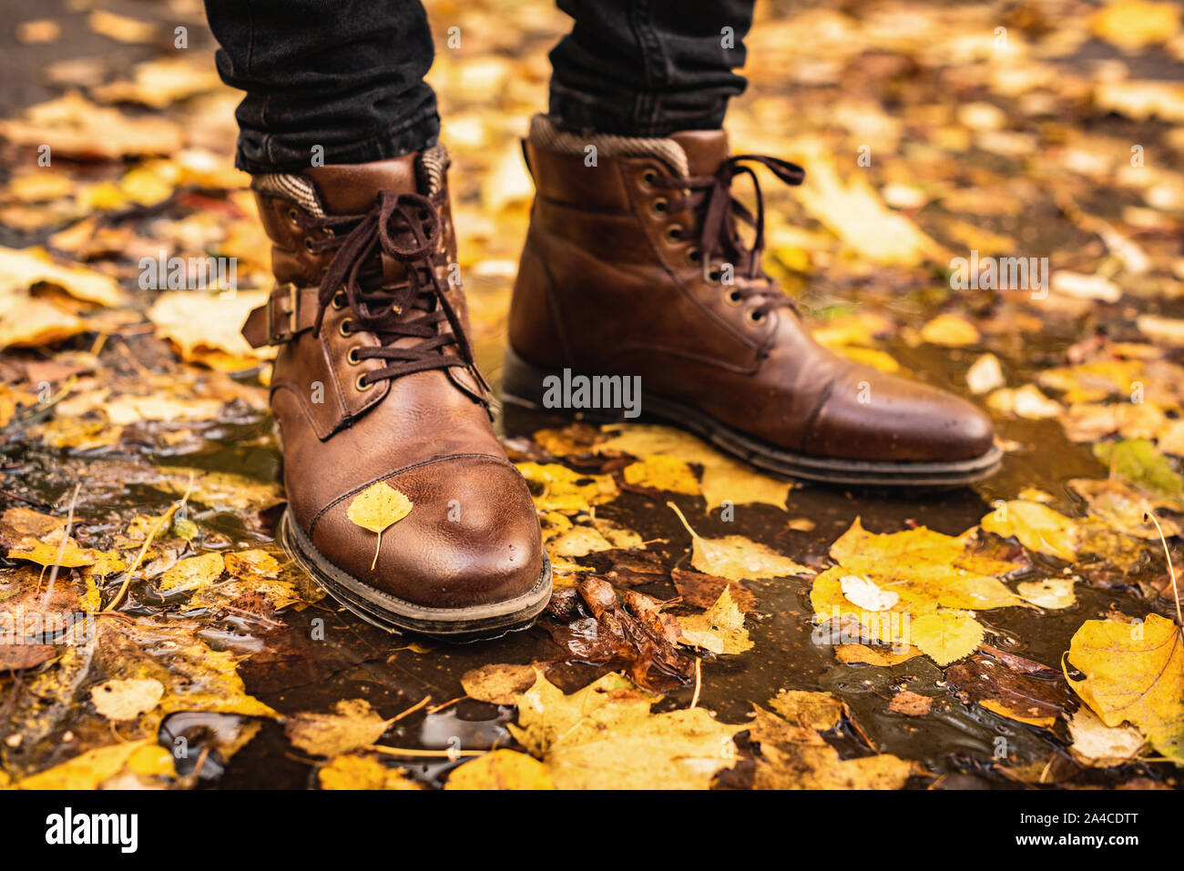 Male feet in leather boots standing in autumn puddle with colorful maple leaves all around. Fall season concept, autumn fashion Stock Photo