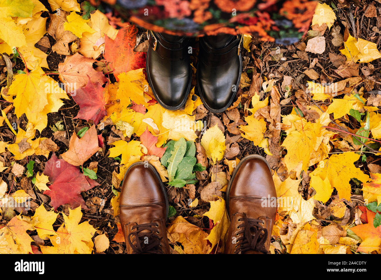 Male and female legs in front of each other on colorful fallen maple leaves, top view. Trendy hipster selfie, autumn concept. Couple outside Stock Photo