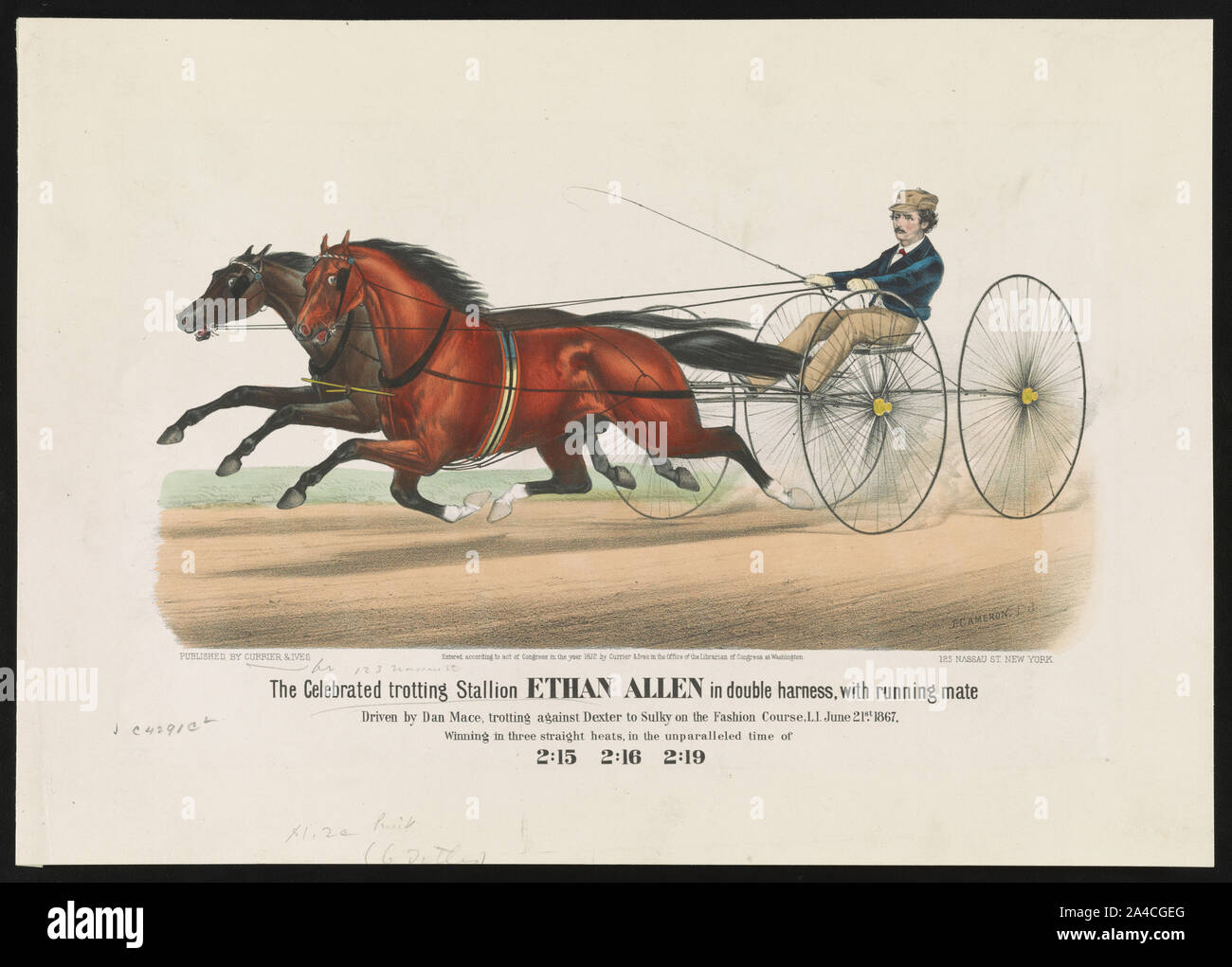 The celebrated trotting Stallion Ethan Allen in double harness, with running mate: Driven by Dan Mace, trotting against Dexter to Sulky on the fashion course, L.I. June 21st 1867, winning in three straight heats in the unparalleled time of 2:15 2:16 2:19 Stock Photo