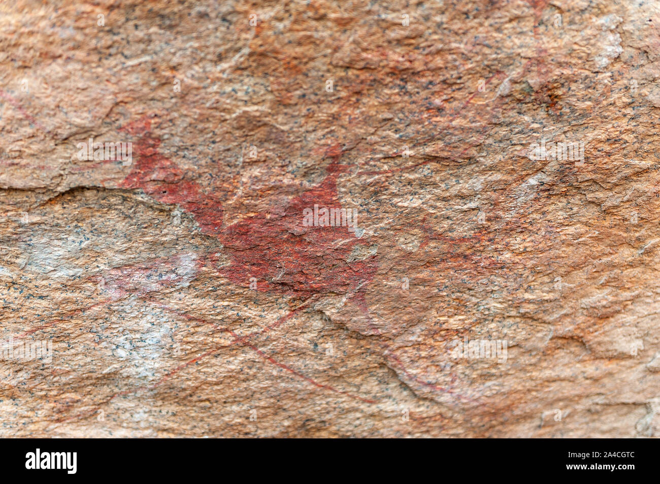 Detail of the prehistoric rock paintings of the San People in Western Namibia, near Spitzkoppe. Stock Photo