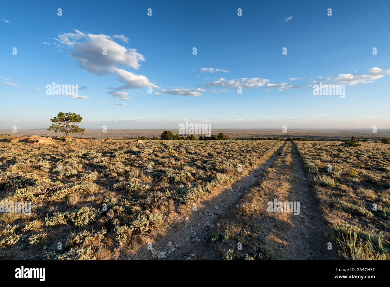 On Continental Divide Trail in the Great Divide Basin, Wyoming, USA Stock Photo