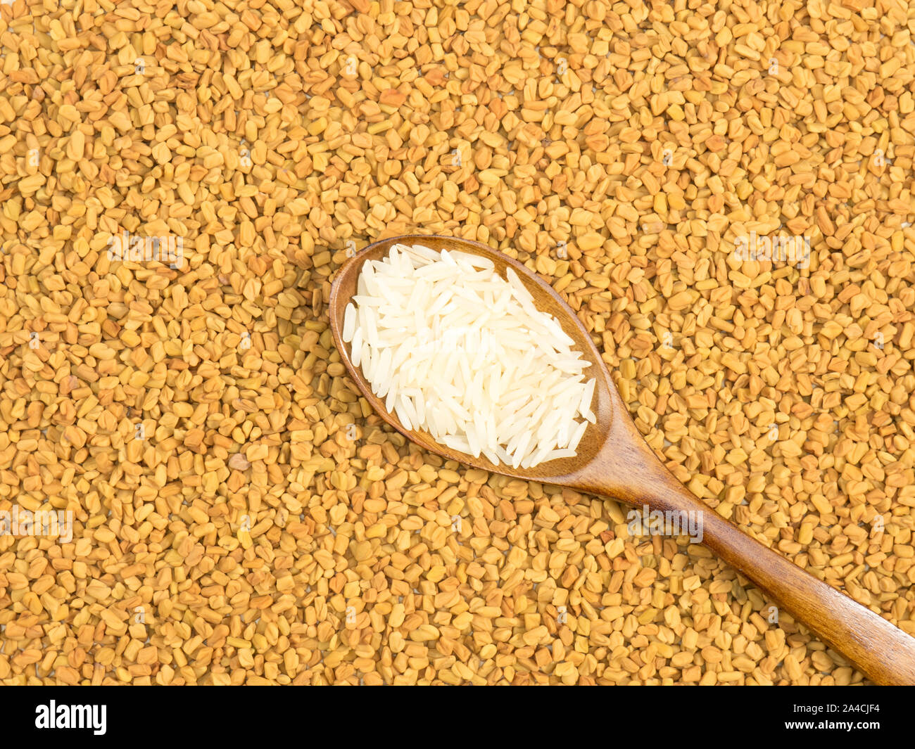 Basmati rice in spoon. Background from Fenugreek. Indian cuisine ingredients Stock Photo