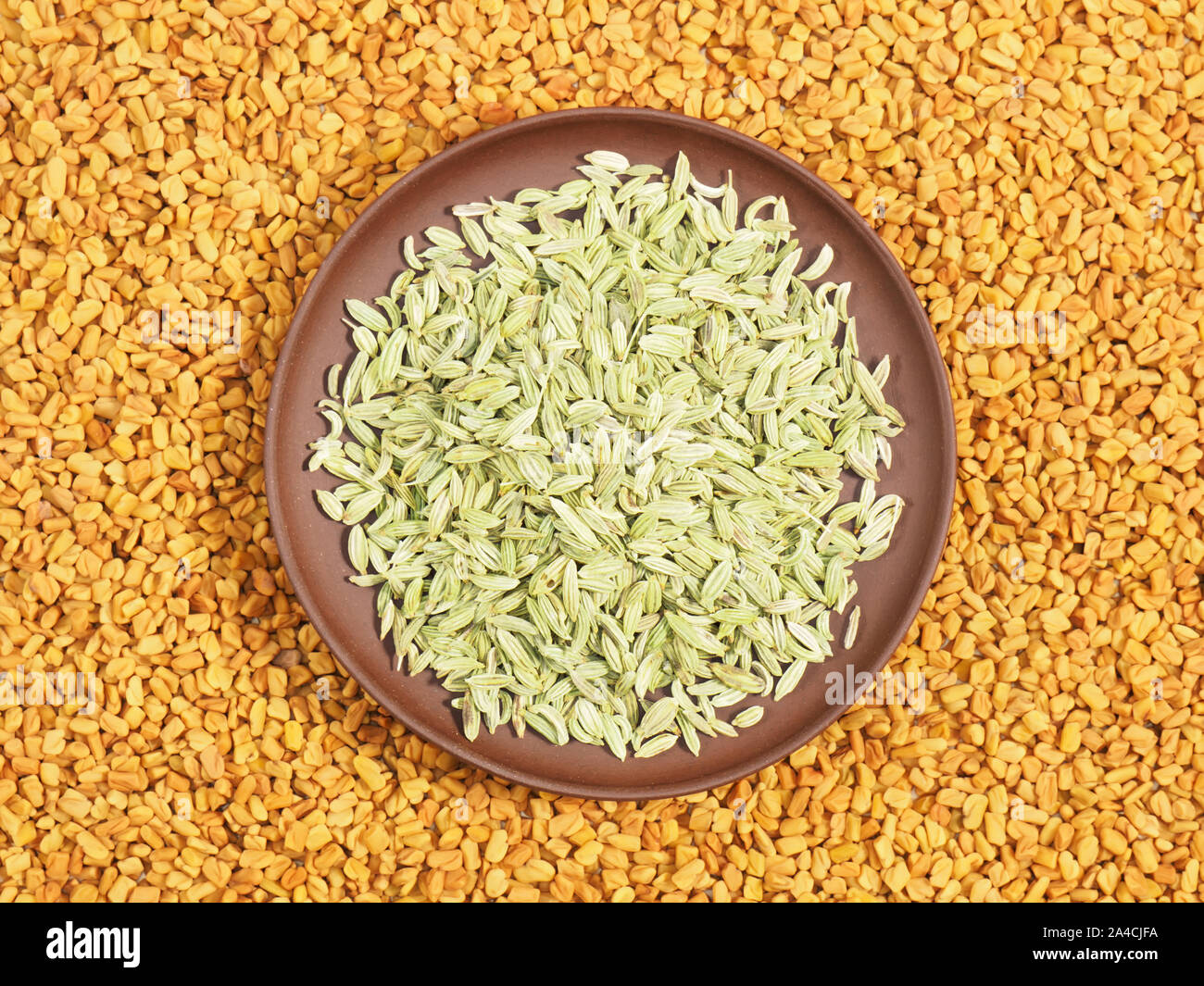 Fennel in clay plate. Background from Fenugreek. Indian cuisine ingredients Stock Photo